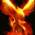 PhoenixAuthor