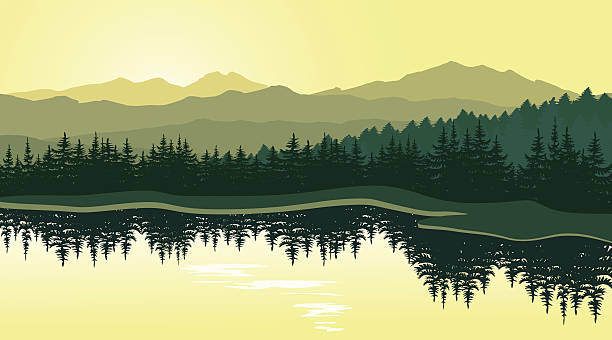Summer at the Lodge