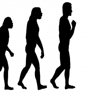 Evolution Quest