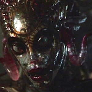 Susan Storm; New Species