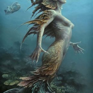 Merfolk Diaries
