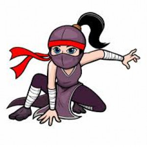 Ninja attack