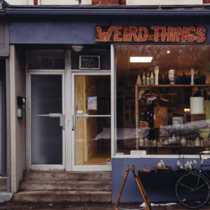 The store