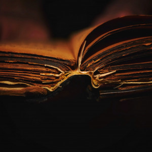 The Daimon Book