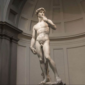 Male Nudity Anthology 