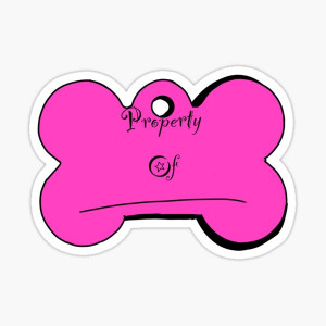 Pet Play Paradise 