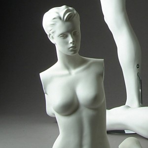 Some Assembly Desired