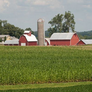 Moving Back to Iowa